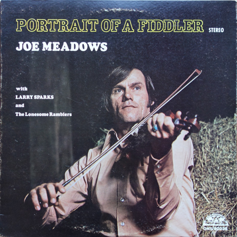 Portrait Of A Fiddler