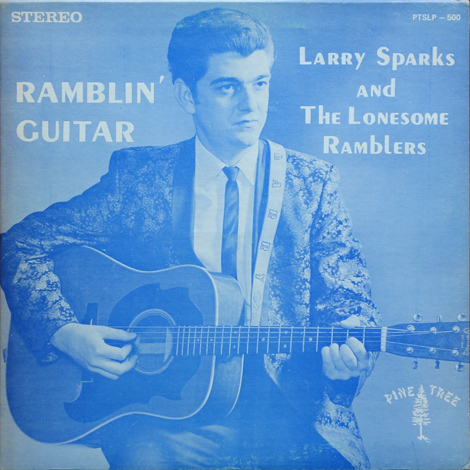 Ramblin' Guitar